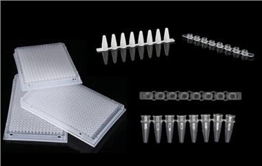 96 Plat PCR Berskirt Baik